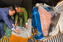 Hà Nội thu giữ 10 tấn thực phẩm 'bẩn'