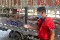  Ngăn chặn xe chuyển lợn nhiễm dịch tả lợn Châu Phi