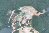 Công ty Đá quý và vàng Hà Nội bị phạt hơn 900 triệu đồng