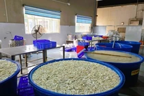 Thanh Hóa phát hiện hơn 13 tấn chân gà ngâm hóa chất tẩy trắng