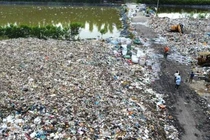 Nhà máy xử lý rác đóng cửa, Cà Mau đem rác đi chôn