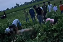 Ba học sinh bị điện giật trong lúc thả diều ở Hà Nội