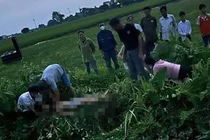 Ba học sinh bị điện giật trong lúc thả diều ở Hà Nội