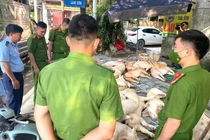 Gần 800 kg thịt lợn hôi thối suýt bị tuồn ra thị trường