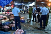 Giết mổ, tiêu thụ thịt lợn nhiễm bệnh là hành vi táng tận lương tâm