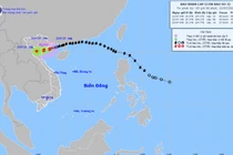 Bão Wipha sắp đổ bộ đất liền, nhiều tỉnh thành có mưa rất to 
