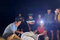 11 rùa con quý hiếm được thả về biển tại Gia Lai