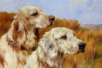 Dự đoán ngày mới 25/12/2025 cho 12 con giáp: Tuất khá tốt