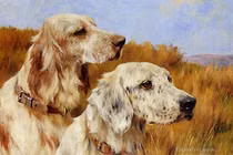 Dự đoán ngày mới 3/4/2026 cho 12 con giáp: Tuất khó thu hồi nợ