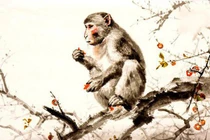 Vận thế 12 con giáp ngày 9/2/2026: Ai thăng tiến, ai cần cẩn trọng?