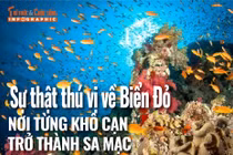 [INFOGRAPHIC] Sự thật bất ngờ về Biển Đỏ