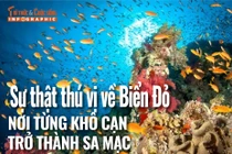 [INFOGRAPHIC] Sự thật bất ngờ về Biển Đỏ