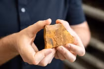 Hóa thạch muỗi cổ nhất tại Nam bán cầu mở ra chân dung mới về tiến hóa