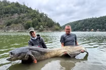 Tóm sống cá trê khổng lồ sau 50 phút vật lộn, ngư dân làm việc bất ngờ