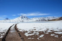 Cảnh tượng khó tin ở sa mạc khô cằn nhất thế giới