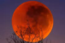 Nguyệt thực toàn phần 'Trăng máu' rực rỡ trên bầu trời Việt Nam