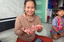 Cá thòi lòi màu hồng hiếm gặp ở Cà Mau gây xôn xao dân mạng