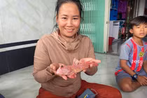 Cá thòi lòi màu hồng hiếm gặp ở Cà Mau gây xôn xao dân mạng