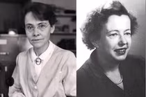 Ba nhà khoa học nữ có ảnh hưởng lớn trên thế giới