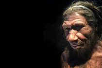 Người Neanderthal biến mất bí ẩn, chuyên gia tìm thấy manh mối từ gene