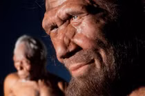 Bằng chứng mới về sự giao phối giữa người Neanderthal và người hiện đại