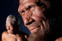 Bằng chứng mới về sự giao phối giữa người Neanderthal và người hiện đại