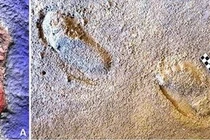 Phát hiện dấu chân 78.000 năm tuổi gây chấn động giới khảo cổ