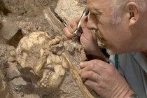 Bộ xương Little Foot hé lộ loài người chưa từng biết đến