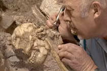 Bộ xương Little Foot hé lộ loài người chưa từng biết đến