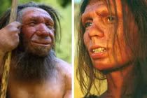 Phát hiện mới về ADN Denisova trong tổ tiên người Nhật Bản cổ đại