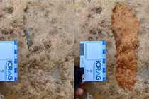 Phát hiện dấu chân cổ xưa trên bãi biển Scotland