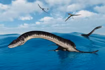 Các chuyên gia đã xác định được hóa thạch quái vật khổng lồ 85 triệu tuổi thuộc về một loài mới có tên là Traskasaura sandrae.