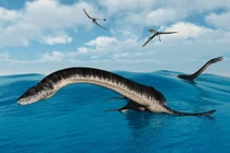 Các chuyên gia đã xác định được hóa thạch quái vật khổng lồ 85 triệu tuổi thuộc về một loài mới có tên là Traskasaura sandrae.