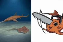 Phát hiện loài cá mập mới có hình dạng lưỡi cưa từ 7 triệu năm trước