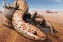 Hộp sọ 95 triệu năm tuổi hé lộ quái vật "lạ" 