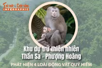 [INFOGRAPHIC] Khám phá Khu dự trữ thiên nhiên Thần Sa - Phượng Hoàng 