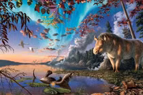 Loài tê giác kỳ lạ không sừng sống ở Bắc Cực cổ đại