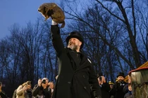 Tò mò 'lời tiên tri' thời tiết của chuột chũi trong lễ hội Mỹ