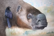 Hóa thạch lười đất tiết lộ bí mật lịch sử chưa từng biết