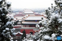 Bắc Kinh chứng kiến hiện tượng tuyết lông ngỗng bất thường