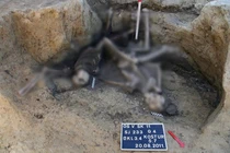 Rùng mình giếng cổ chứa đầy hài cốt binh sĩ La Mã