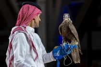 Chim bồ câu và cá ngừ đạt giá kỷ lục trong các cuộc đấu giá quốc tế