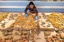 Khôi phục tranh bích họa La Mã bị vỡ thành hàng ngàn mảnh 