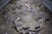 Phát hiện công trình xương voi ma mút 18.000 năm tuổi ở Ukraine