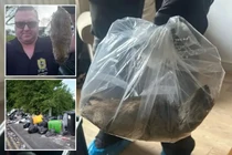 Lộ diện đàn chuột khổng lồ ở Anh, nguy cơ dịch bệnh bùng phát