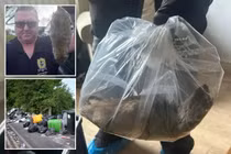 Lộ diện đàn chuột khổng lồ ở Anh, nguy cơ dịch bệnh bùng phát