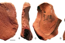  Bút chì từ đất son