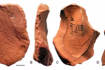 Bằng chứng mới về nghệ thuật của người Neanderthal: Bút chì từ đất son