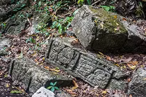 Phát hiện thành phố cổ bí ẩn "Báo đốm trắng" của người Maya