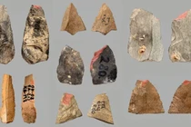 Vũ khí cổ xưa 80.000 năm khiến giới khoa học chấn động